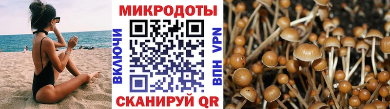 Галлюциногенные грибы Cubensis  Игарка 